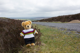 World Champion bear at Lofthouse