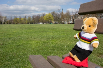 World Champion bear on West Park Stray