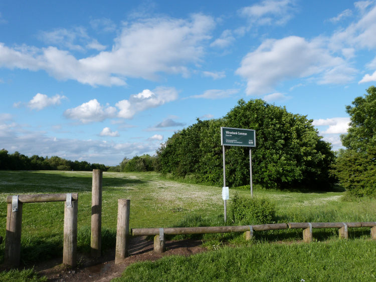 Wincobank Common, Jenkin Road Wincobank Common, Jenkin Road