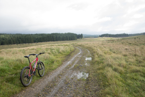 Approaching Greenfield Woods, Langstrothdale Chase