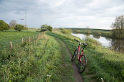 Bridleway on the right bank of the Ouse near Poppleton