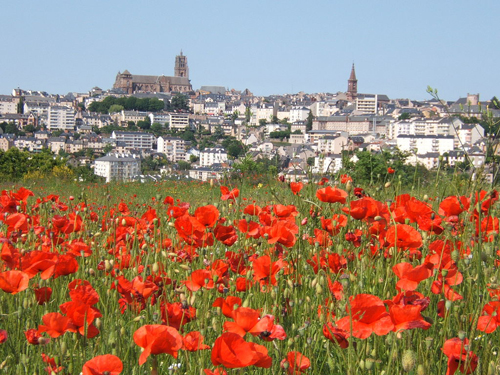 Poppies and Rodez