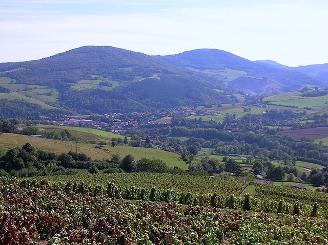 Saint-Didier-sur-Beaujeu