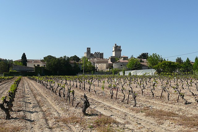 Saint-Laurent-des-Arbres