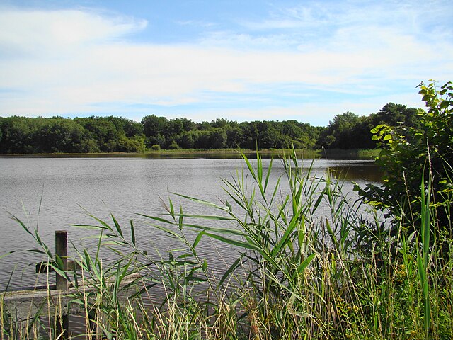 La Sologne