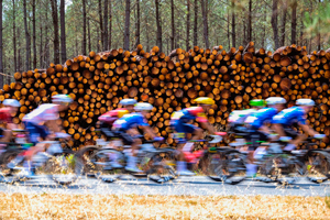 The peloton rides through the Foret des Landes on Stage 7