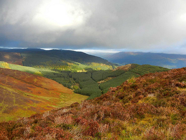 Whinlatter Forest Whinlatter Forest