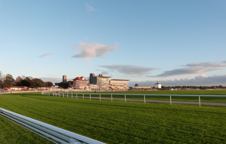 York races York races