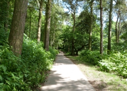 Yorkshire Showground Greenway